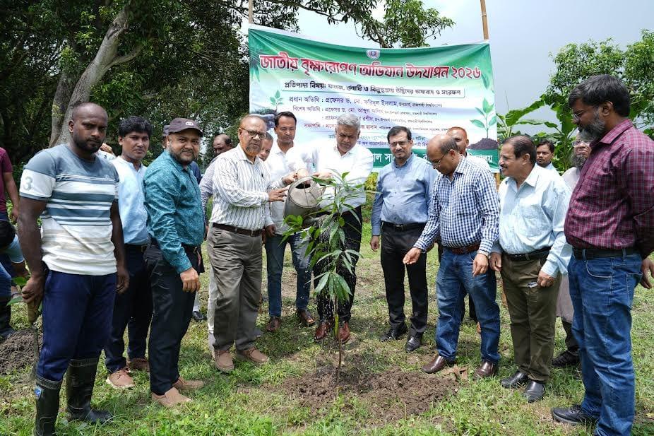 National tree plantation campaign marked at RU | News