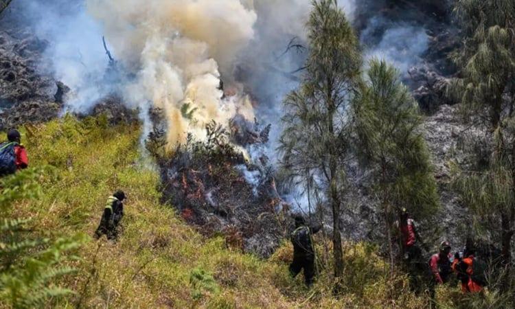 Indonesia battles Mount Bromo wildfire as El Nino takes root | News