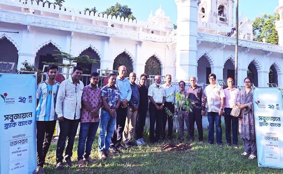550 rare, endangered trees planted on Carmichael College campus | News