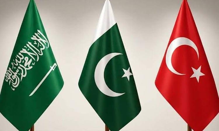 Turkey says defence deal with Saudi, Pakistan 'not aimed at any particular country' | International