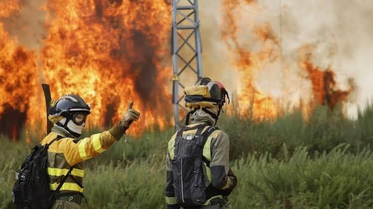 Spain deploys 275 firefighters to tackle Andalusia forest blaze | International