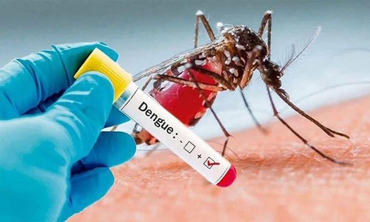 Patients having fever advised to undergo blood test for dengue | News
