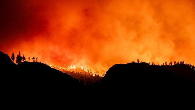 One woman confirmed dead in western Canada wildfire | International