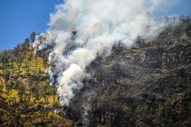 Eighth day of wildfires in Indonesian national park | International