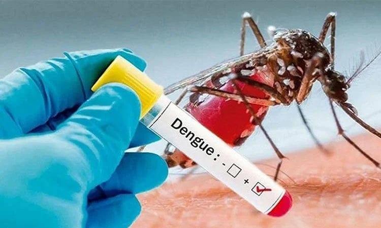 Health officials report 726 fresh cases of dengue inflection overnight | News