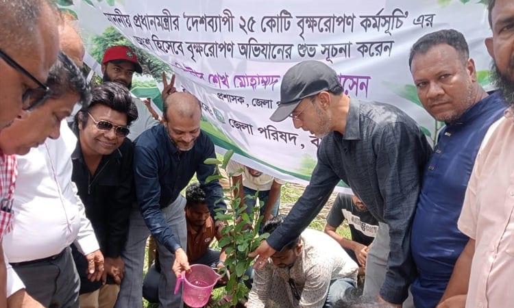 Tree plantation drive launched in Kachua | District