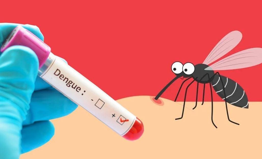 Health officials report 756 fresh cases of dengue infection overnight | News