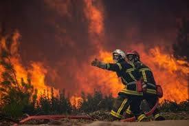 Hundreds evacuated as wildfire spreads in western Germany | International