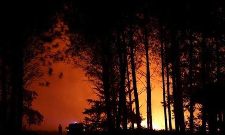 Europe wildfires: latest developments | International