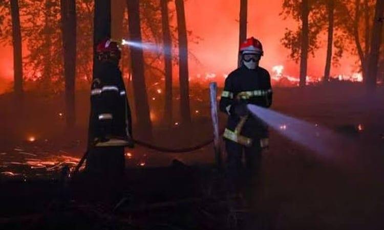 Body found in wake of Croatian wildfire: police | International