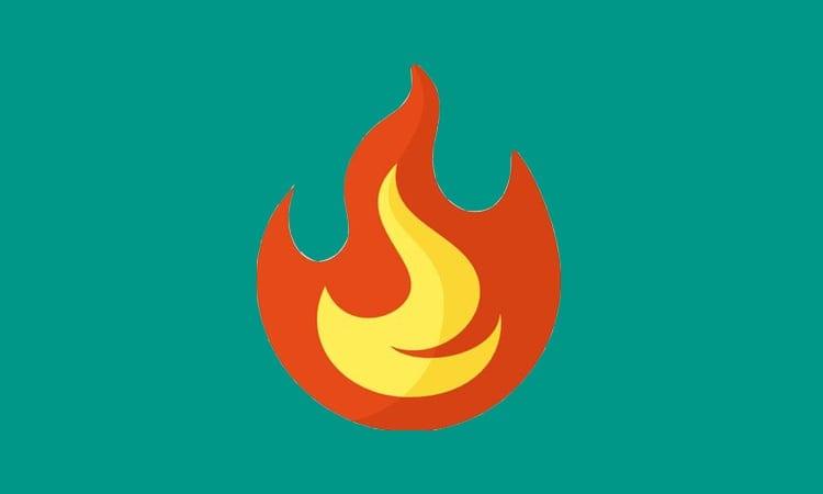 Three families left destitute in Bagha fire, loss nearly Tk 50 lakh | District