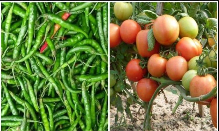 Cabinet approves tax duty waiver on imports of green chilli, tomato | Business