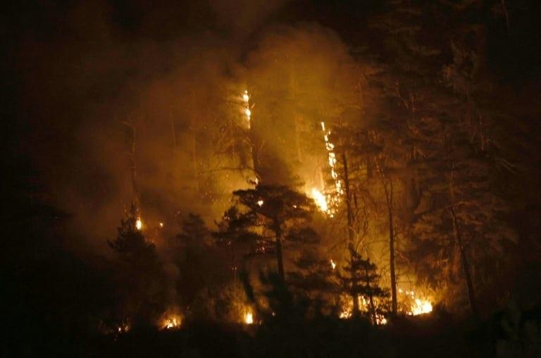 Europe wildfires: latest developments | International