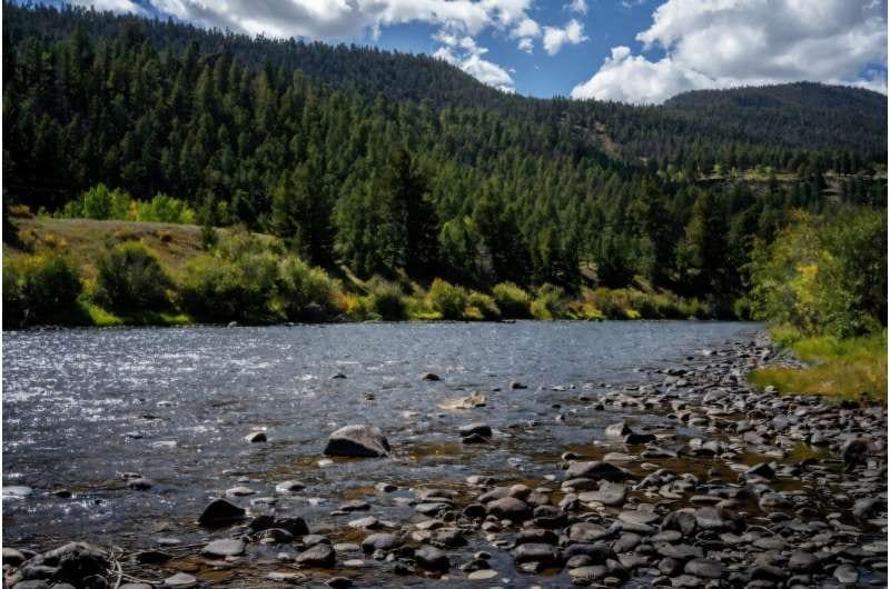 US moves to open vast tracts of pristine forests to logging | International
