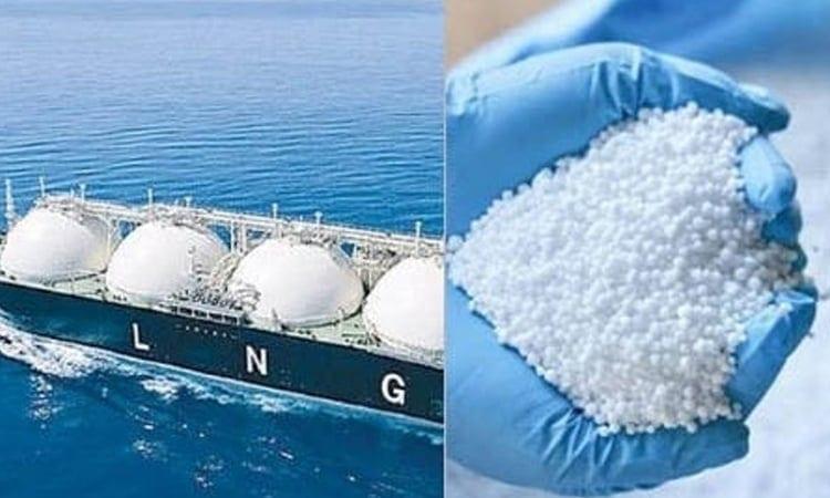 CCEA approves 14 LNG cargoes, fertiliser deal  | News