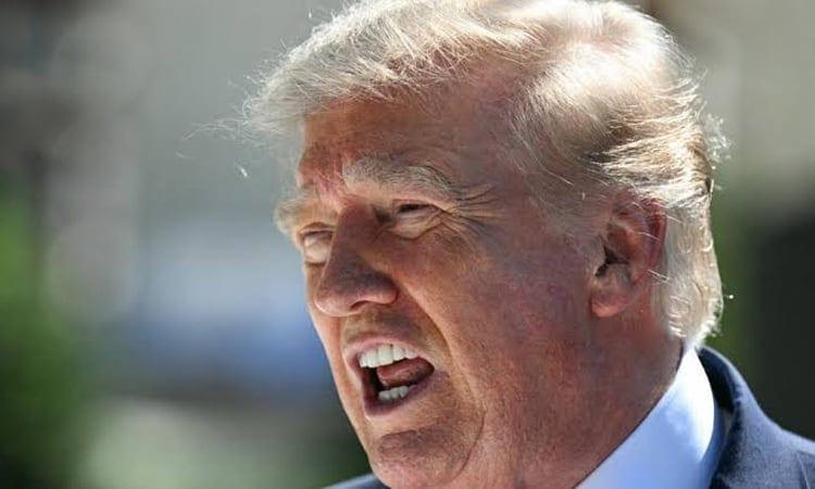 Trump says will meet North Korea's Kim later this year | International