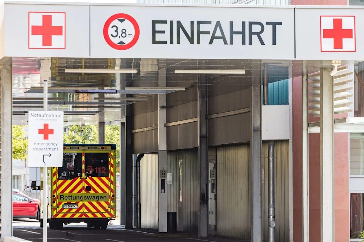 Germany logged 14,000 heat-related deaths this summer: govt data | International