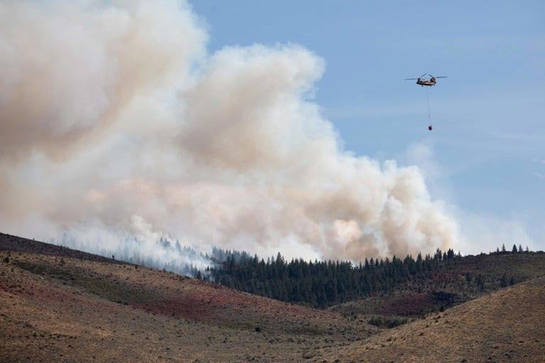More than 40,000 evacuate as wildfire nears Reno in western US | International