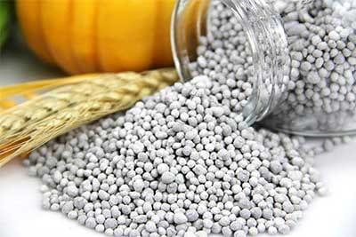 Govt to procure 3.65 lakh MTs of fertilizer | News