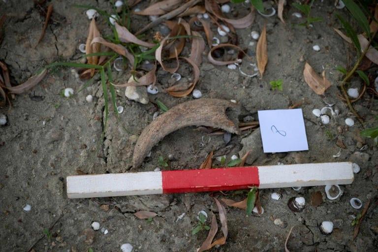 Drought-hit Danube gives way to fossil hunt in Bulgaria | International