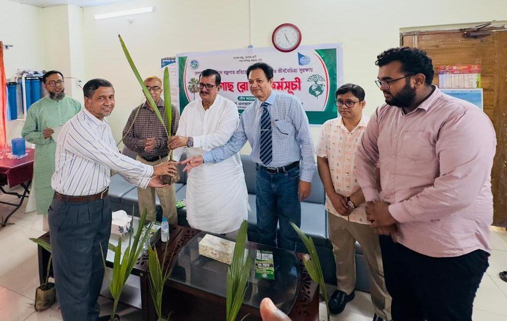 1,000 Palm tree sapling plantation program inaugurated in Rajshahi | News