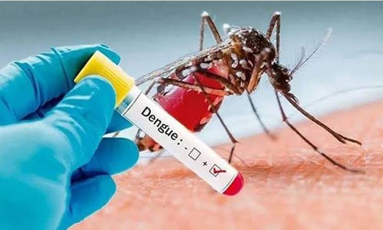 Dengue claims two lives, suspected measles one in Khulna | District