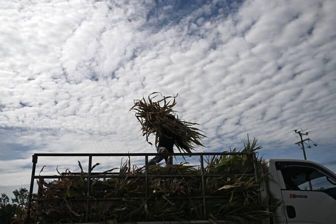 Ecuador declares emergency over El Nino | International