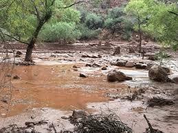 More flooding feared at Grand Canyon after storm leaves 15 missing | International