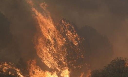 Record European fires burn over 500,000 hectares over summer | International