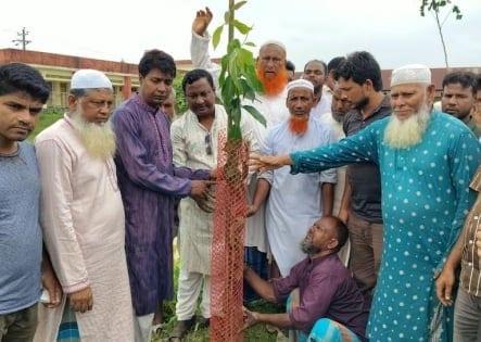 Tree plantation programme begins in Netrokona | District