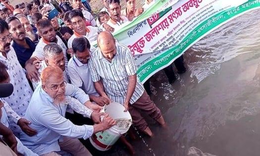 Fish fries released in Rangpur marking BNP founding anniversary | District