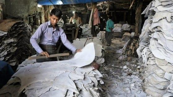 Tannery solid waste should be turned into resource thru compliance: experts | Business