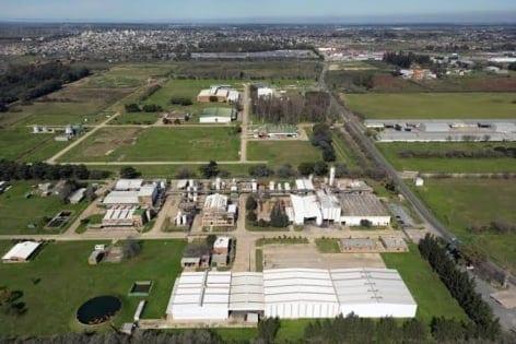 Argentine industry reels from Milei's free-market revolution | Business