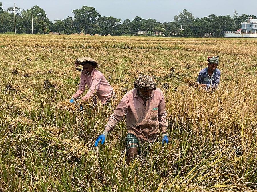 ১০ হাজার কোটি টাকার নতুন কৃষিঋণ তহবিল, সুদ ৮%