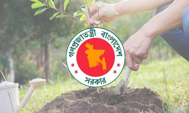২৫ কোটি গাছ রোপণের কার্বন ক্রেডিট বিক্রি করে বিলিয়ন ডলার আয় করতে পারে বাংলাদেশ | বিশেষ প্রতিবেদন