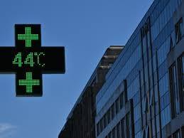 Heatwave-hit Europe must adapt healthcare: WHO | International