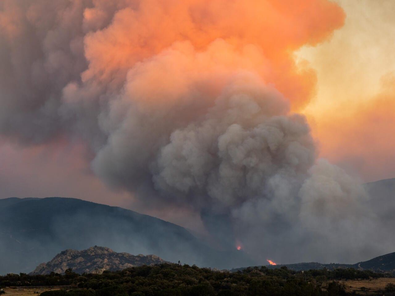 Thousands flee raging wildfires in southern Europe | International