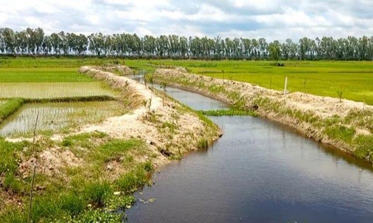 Re-excavation, Asharh rains revive two 'dead' canals in Naogaon | News