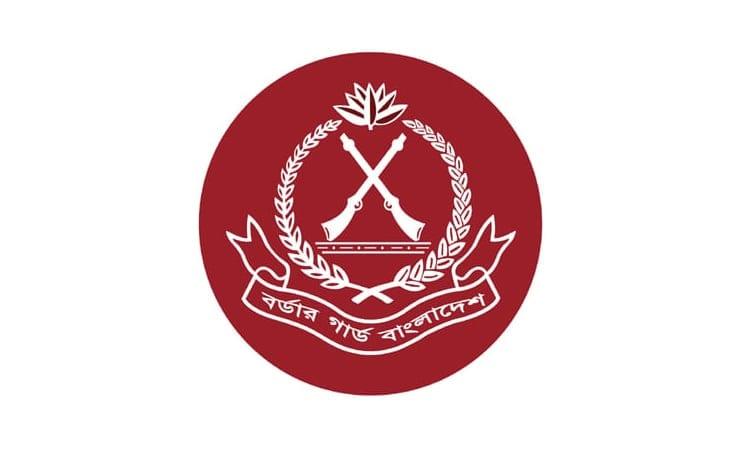 BGB seizes Tk 307.65cr smuggled goods in June | Others
