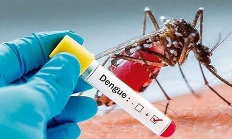 Health officials report 190 fresh cases of dengue inflection, 2 deaths overnight | News
