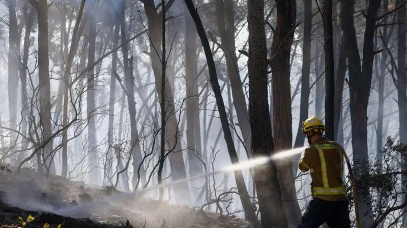 Spain wildfire death toll rises to 12 | International