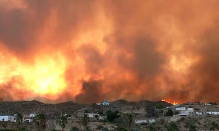 Eleven dead, 19 missing as Spain wildfire roars through village | International