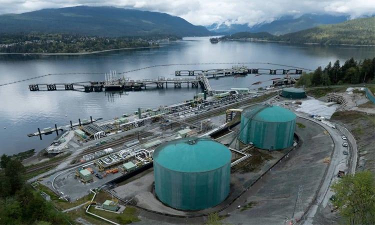 IEA says global oil demand picks up despite war fears | Business