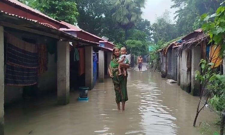 Flood hit population rises in Monpura | Others