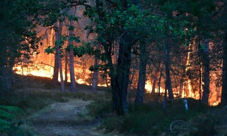 Major fire rages in Fontainebleau Forest near Paris | International