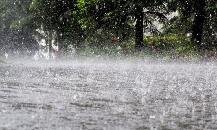 Heavy downpour likely over 6 divisions | News