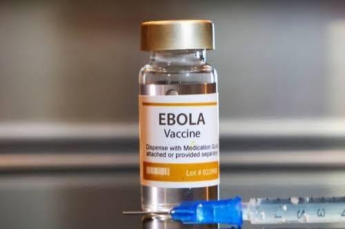 New US Ebola patient arrives in Germany for treatment | News
