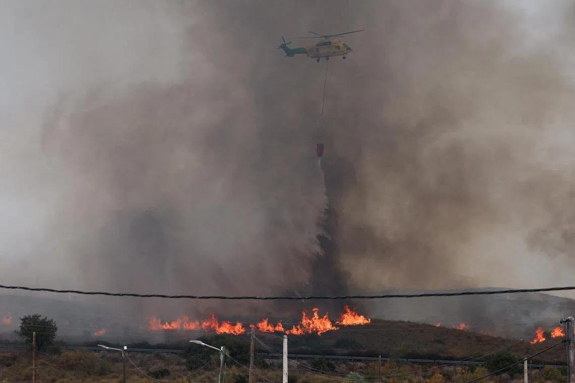 Spain confirms 12 foreigners among 13 wildfire victims | International