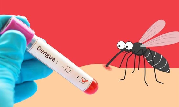 Two more die of dengue in 24 hrs | News