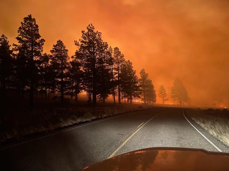 Hazardous Canadian wildfire smoke choking millions in US | International